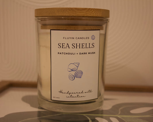 SeaShells 7 oz